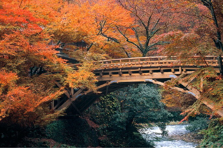 紅葉の鶴仙渓こおろぎ橋