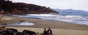 平野海水浴場(平野サーフビーチ)