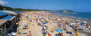 宮城県の海水浴場