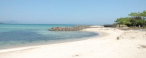 松浦 大崎海水浴場