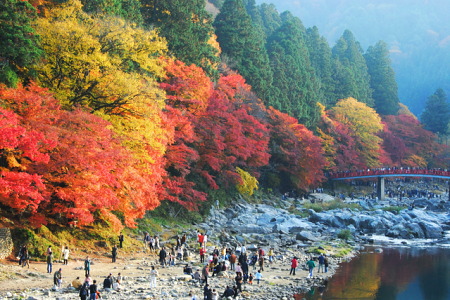 紅葉の香嵐渓