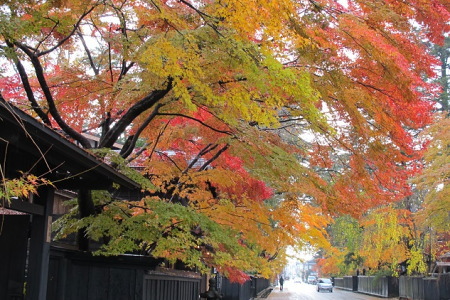 紅葉の角館武家屋敷