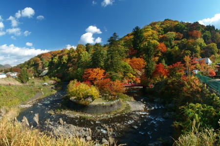 紅葉の中野もみじ山