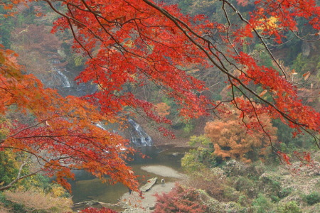 紅葉の養老渓谷 粟又の滝