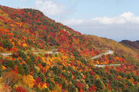 紅葉の磐梯吾妻スカイライン