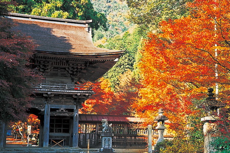 紅葉の大矢田神社もみじ谷