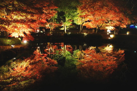 紅葉の曽木公園