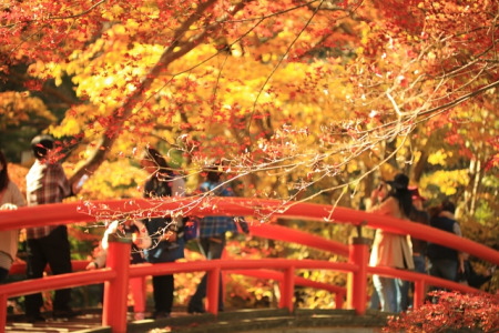 紅葉の伊香保温泉 河鹿橋