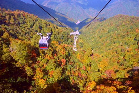 紅葉の谷川岳