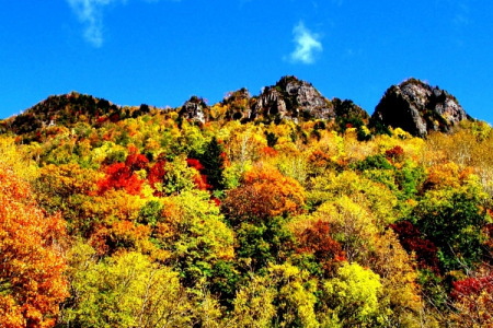 大雪山・層雲峡紅葉谷