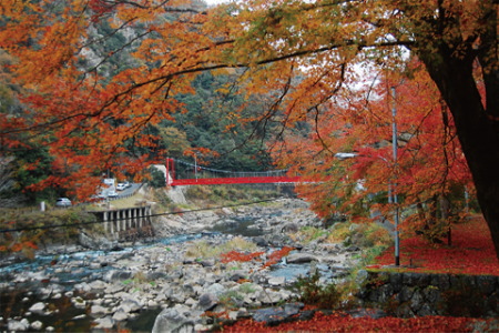 紅葉の武庫川渓谷