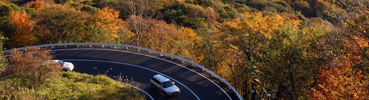 紅葉スポット周辺の温泉旅館・ホテル