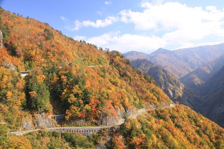 紅葉の白山白川郷ホワイトロード