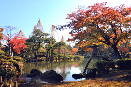 紅葉の金沢兼六園