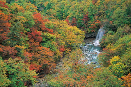 紅葉の松川渓谷(八幡平市)