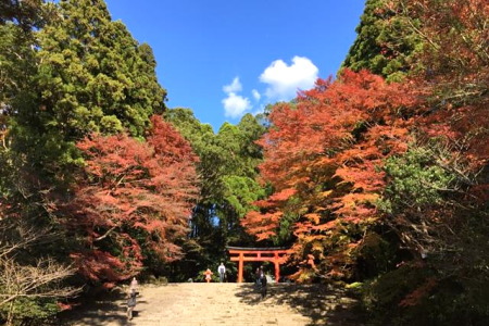 紅葉の霧島神宮