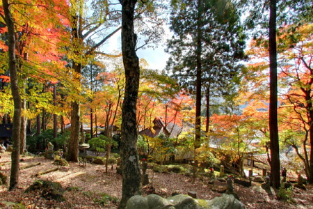 紅葉の長安寺(箱根仙石原)