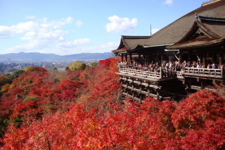 紅葉の清水寺