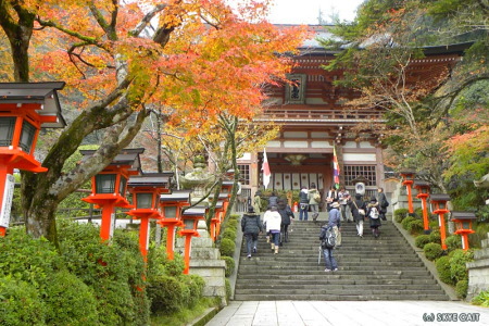 紅葉の鞍馬寺