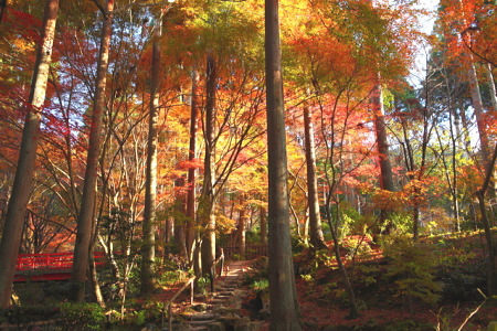 紅葉の大原三千院