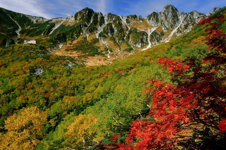 紅葉の千畳敷カール