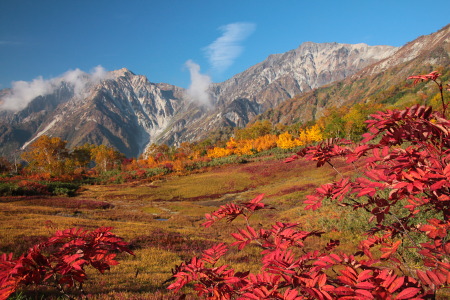 紅葉の栂池自然園