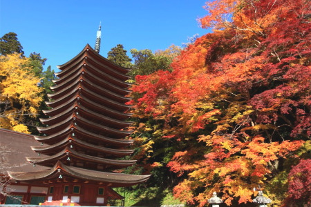 紅葉の談山神社