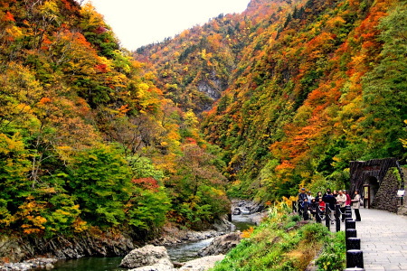 紅葉の清津峡