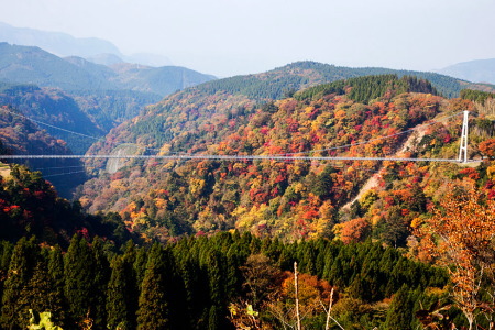 紅葉の九重夢大吊橋