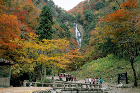 紅葉の神庭の滝