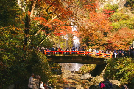 紅葉の箕面大滝