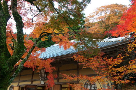 紅葉の永願寺