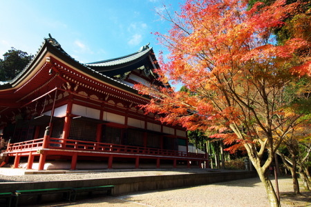 紅葉の比叡山延暦寺