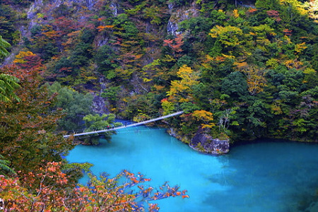 紅葉の寸又峡 夢の吊橋