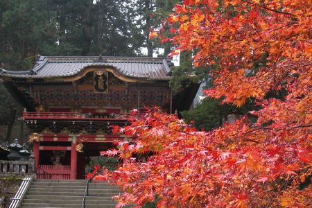 紅葉の日光山輪王寺