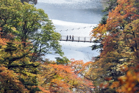 紅葉の回顧の吊橋(那須塩原)