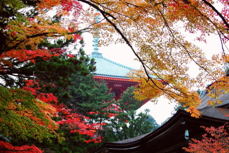 紅葉の高野山