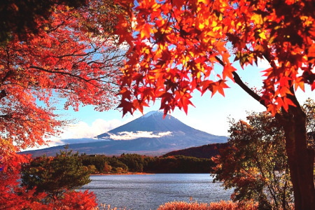 紅葉の河口湖と富士山